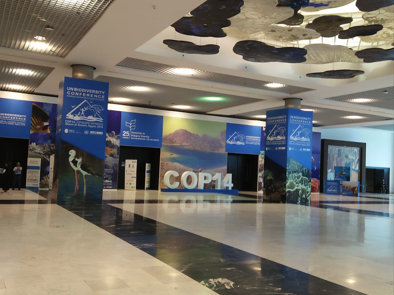 Participation du Mgoun Géoparc Mondial Unesco à la Cop14 sur la Biodiversité