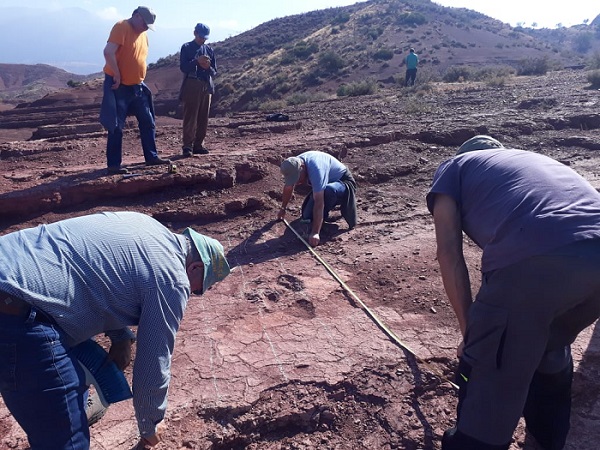 Visite des experts espagnoles de la région de  Rioja en matière des dinosaures
