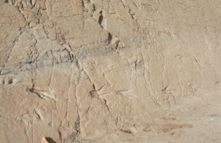 Empreintes de pas de dinosaures, Ait Blal